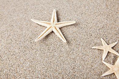 《流浪地球2》预告公布 大年初一上映